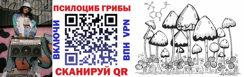 darknet Telegram  цена наркотик  Котово  Галлюциногенные грибы мицелий 